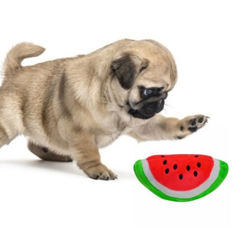 GoodDog Plush Squeaky Toys – Fun Fruit & Cartoon Designs for Dogs & Cats | Pet Supplies - Larawan 3