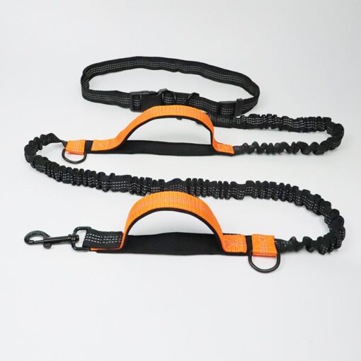 Amazon direct pet supplies multi-function running reflective pull dog leash double elastic dog leash traction - Imagen 6