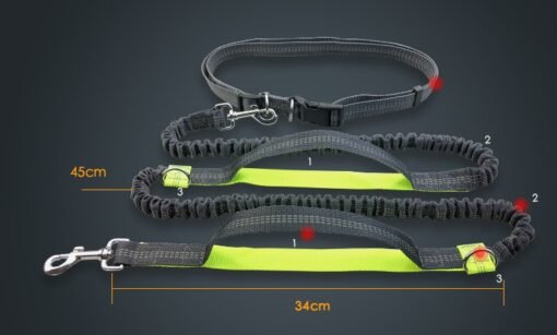 Amazon direct pet supplies multi-function running reflective pull dog leash double elastic dog leash traction - Imagen 4