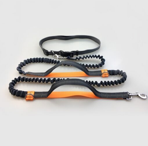 Amazon direct pet supplies multi-function running reflective pull dog leash double elastic dog leash traction - Imagen 5