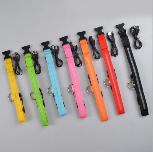 Nylon LED Pet Dog Luminous Collar Night Safety Flashing Glow in Dark Dog Cat Leash Adjustable Pet Supplies - Bild 8
