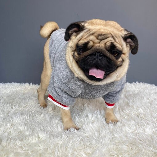 Pet sweater - Hình ảnh 4