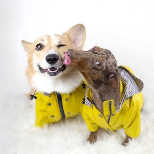 Tide Brand Windproof And Rainproof British Retro Padded Dog Raincoat, Dog Pet Jacket - Hình ảnh 5