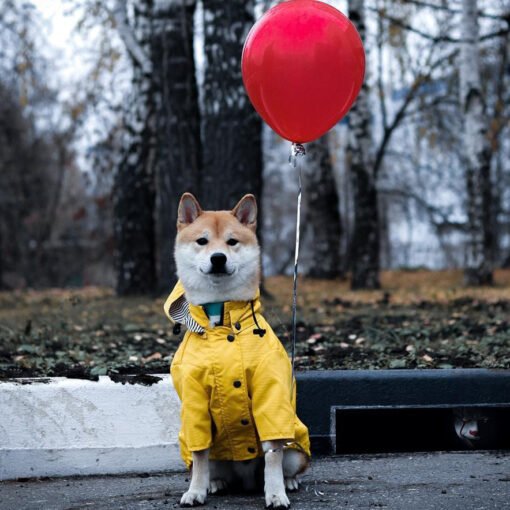 Tide Brand Windproof And Rainproof British Retro Padded Dog Raincoat, Dog Pet Jacket - Hình ảnh 2