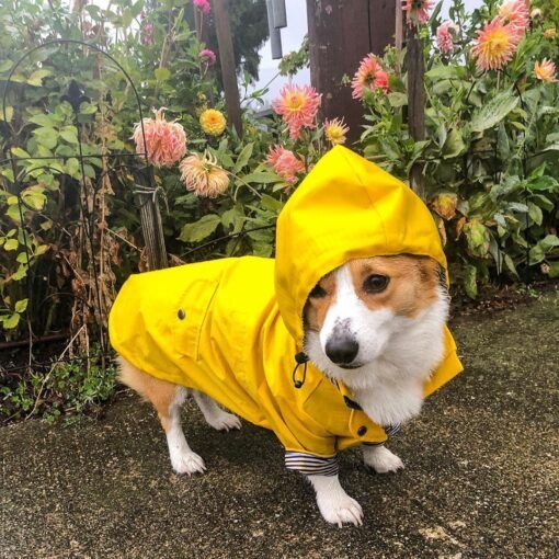 Tide Brand Windproof And Rainproof British Retro Padded Dog Raincoat, Dog Pet Jacket - Hình ảnh 4
