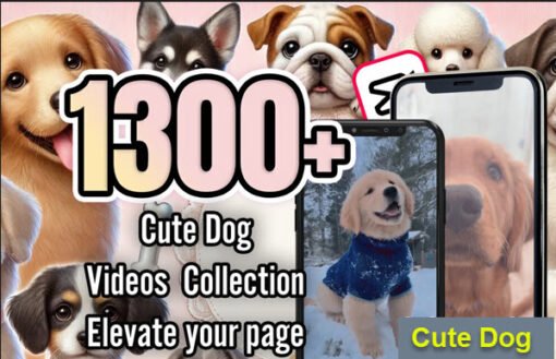 1300+ Cute Dog Videos Collection