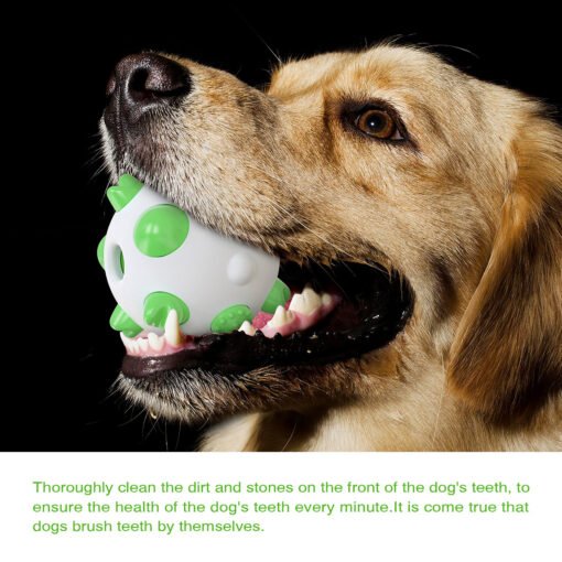 Spherical dog toy molar rod - Larawan 4