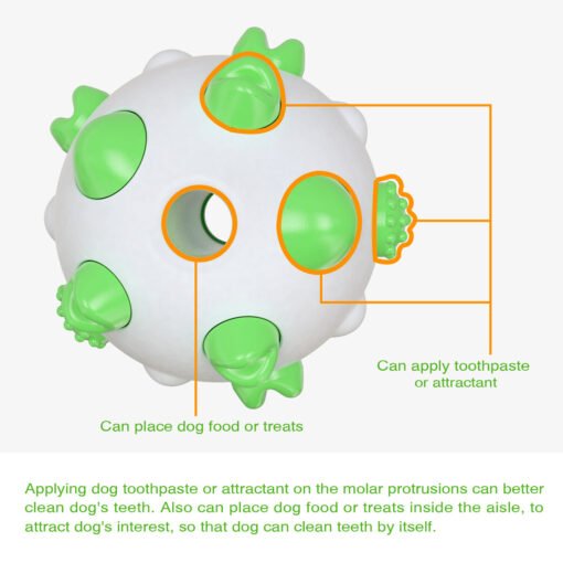 Spherical dog toy molar rod - Larawan 3
