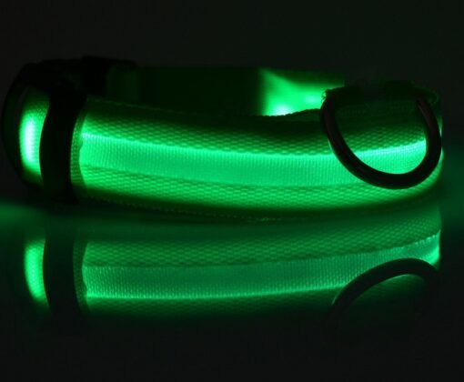 Nylon LED Pet Dog Luminous Collar Night Safety Flashing Glow in Dark Dog Cat Leash Adjustable Pet Supplies - Bild 7