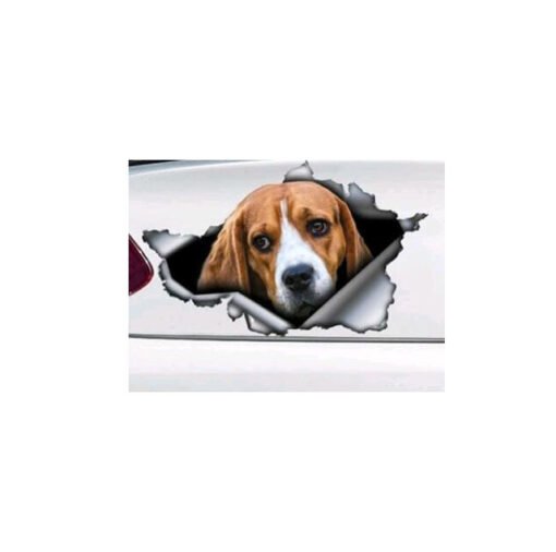 Car Tail Pet Pattern Sticker - Hình ảnh 2