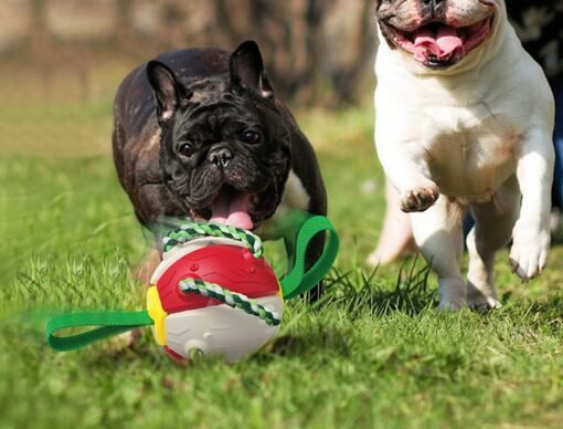 Interactive Dog Football Soccer Ball With Tabs Inflated Training Toy Outdoor Border Collie Balls Pet Products - Bild 2