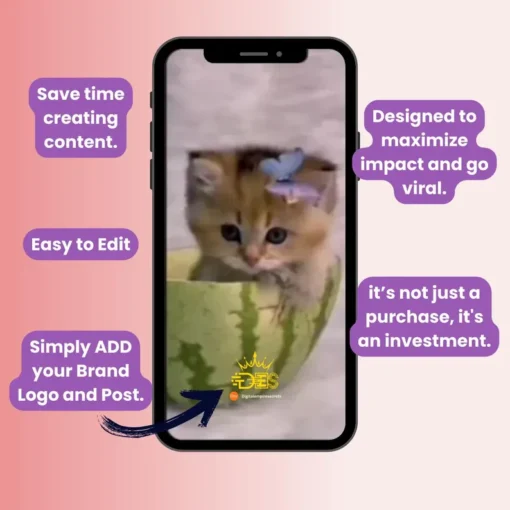 1300+ Cute And Funny Cat Video Clips - Hình ảnh 5